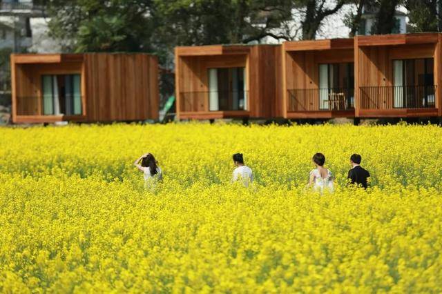 民宿|望山生活8月15日正式开业,浪漫七夕在"太阳花香"里入梦!
