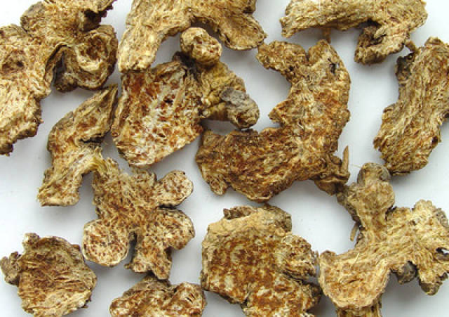 主治医师陈忠敏浅谈中药白术和苍术的区别