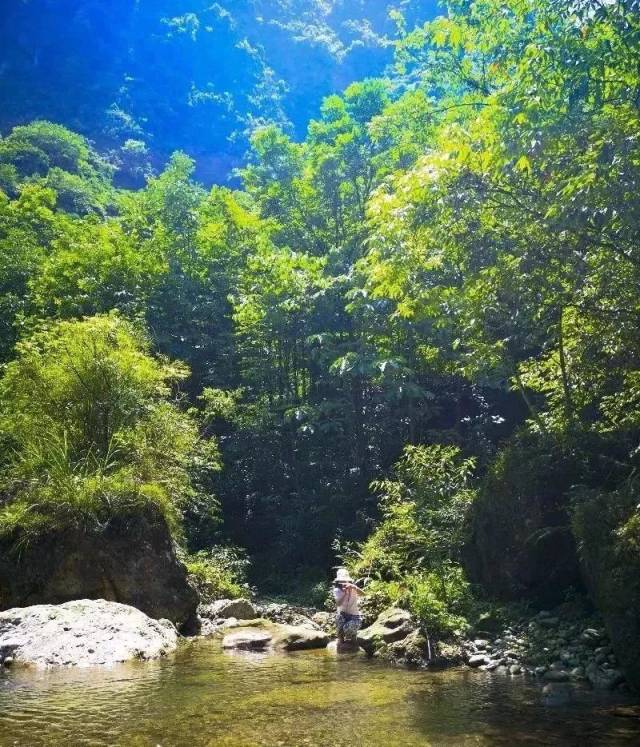 1h遇见成都"小九寨"!水清山青,凉快度夏!没门票!_手机搜狐网