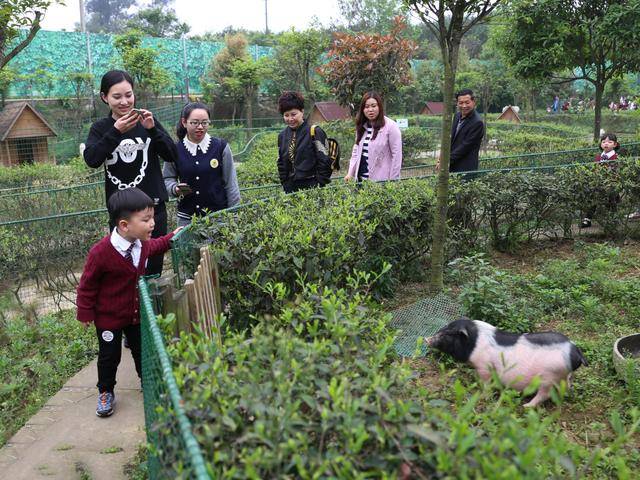 成都最受欢迎的亲子农场,藏着你意想不到的美景,美食和乐趣!