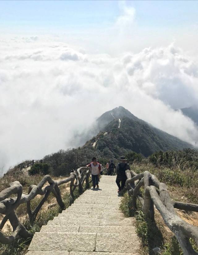 大梧桐山登山道