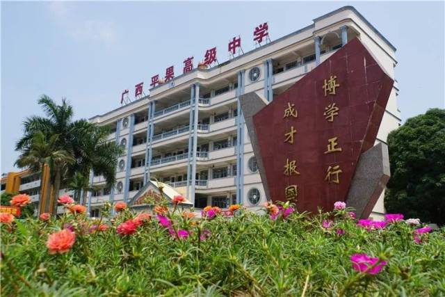 厉害了平果高中,获得了国字号荣誉!