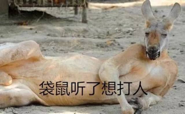 澳洲英语,这个世界上最懒的英语