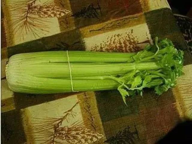 当天买来的芹菜,趁着新鲜,切掉芹菜头,放入水中疗养几天.