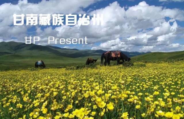 p 甘南藏族自治州