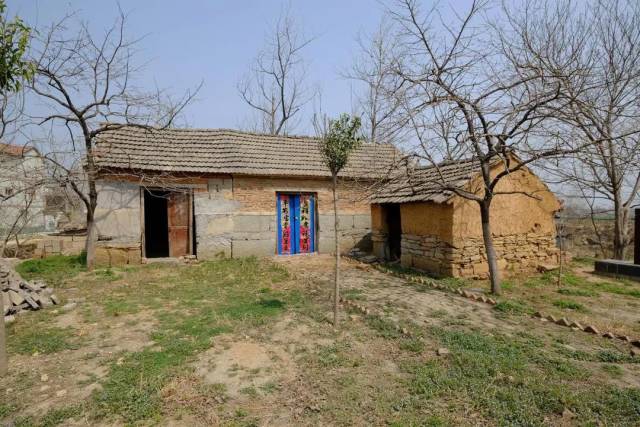 涡阳这个旅游好去处,你舍得错过么?