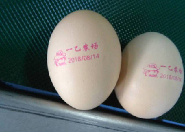 振野蛋品喷码机玩转鸡蛋喷码新花样!