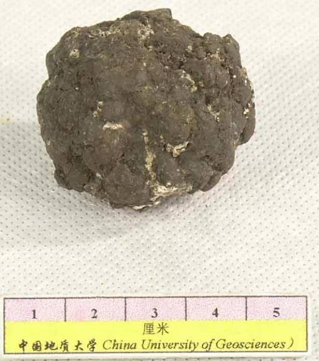 石头不好认?315张矿石标本及简要描述请收藏备用_手机搜狐网