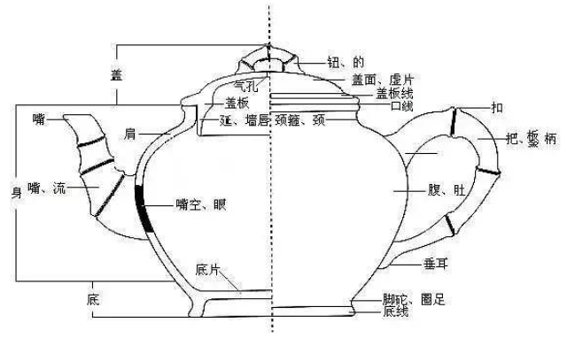 紫砂壺構造圖解 壺嘴 壺把 壺蓋 壺底最全樣式_手機搜狐網