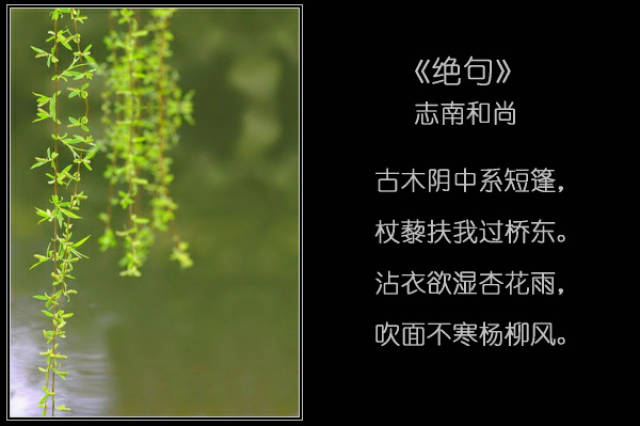 雨中的诗词之魂,雨是大自然吟诵的最美的诗篇