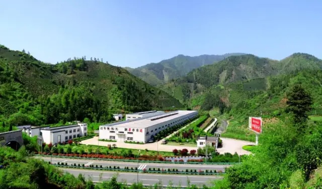 "秋季养生到茶乡" | 安徽黄山 — 黄山市徽州区谢裕大茶博园科普游