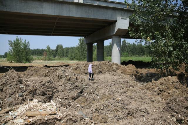 因無法運走就地掩埋 暴雨過後渭河岸垃圾成堆