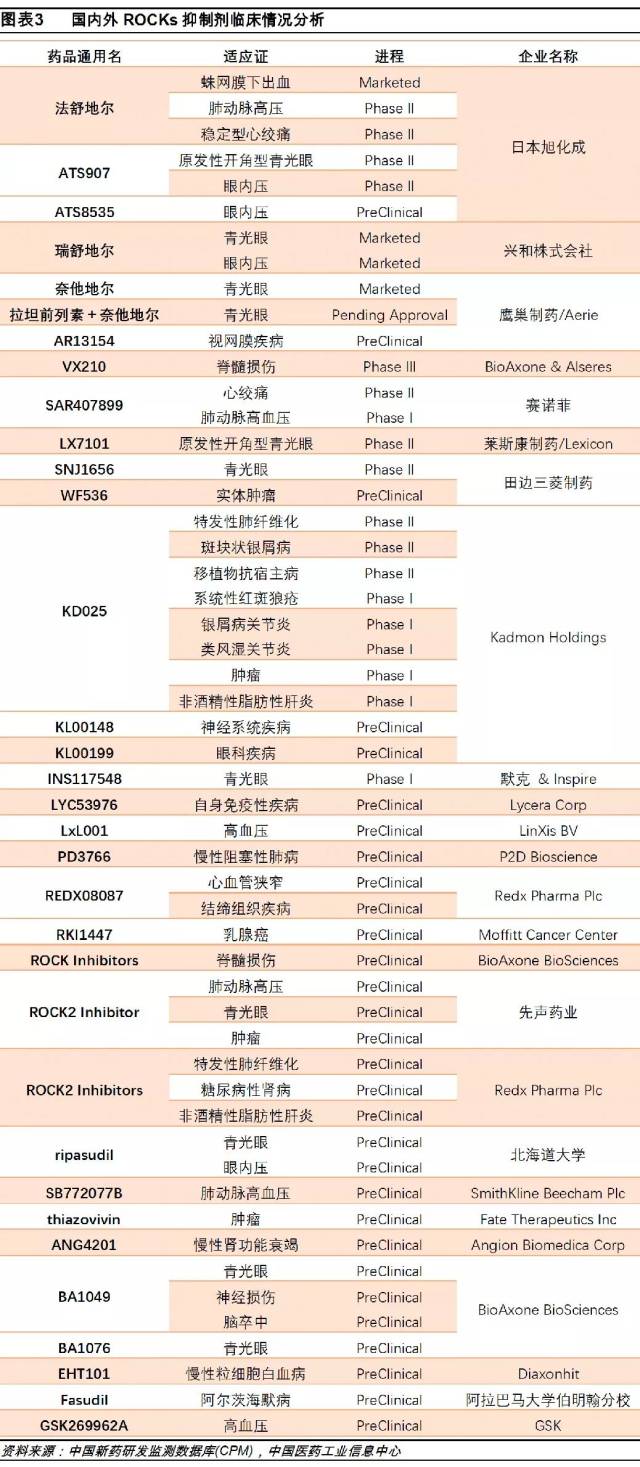 进击的VEGF-A受体基因FLT1和NRP1