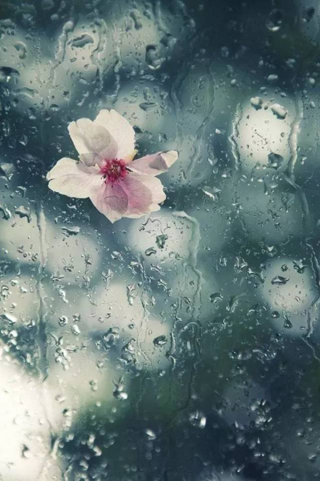 夏雨磅礴,任大雨磅礴,大雨磅礴出自(第12页)_大山谷图库