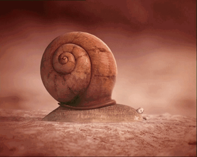 蜗牛一家五口动态壁纸图片