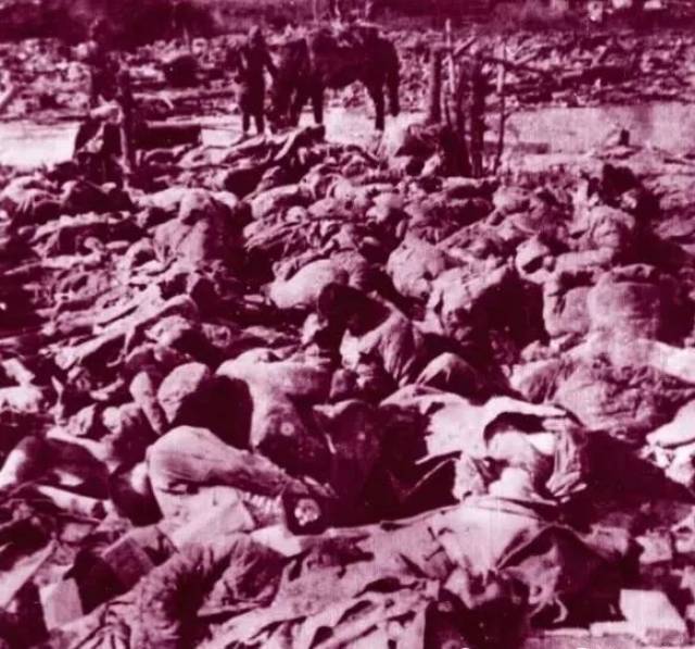 二战丧尸事件图片