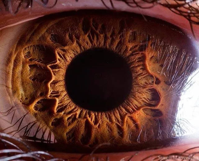 微距摄影:近距离观察神奇的人类瞳孔