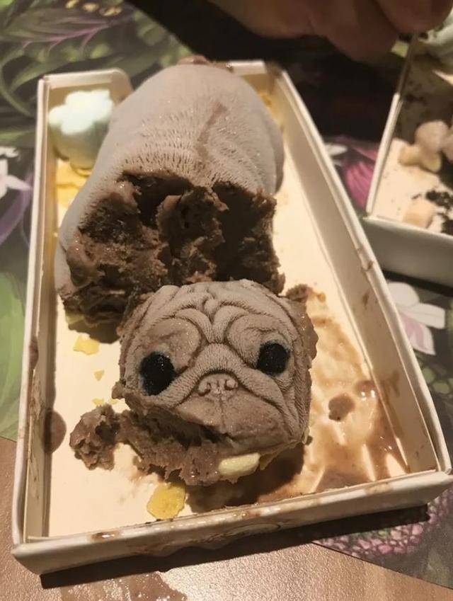 台湾网红"冰淇淋狗"在大陆和欧美的不同遭遇