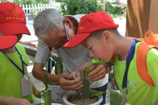 part 2 果樹嫁接實踐篇 特邀管華宙老師, 為環保小衛士講解果樹嫁接