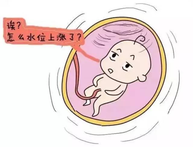 代孕公司在当代社会的角色演变