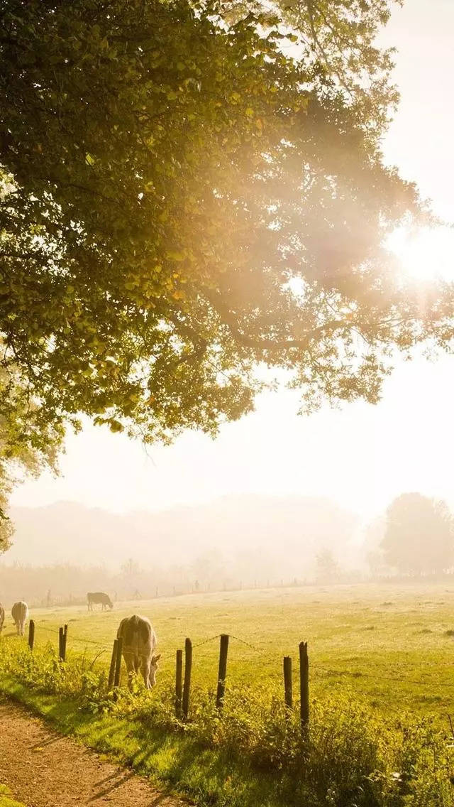 唯美壁纸:蓝天,山川,素雅干净,随便一张都很美