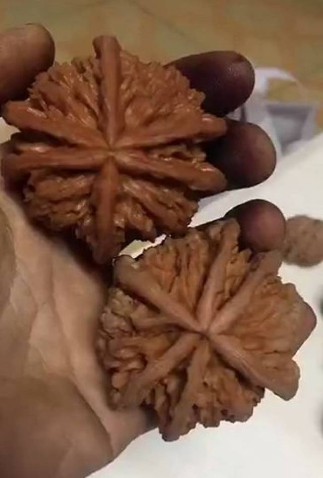 48蛤蟆头 クルミ文玩核桃