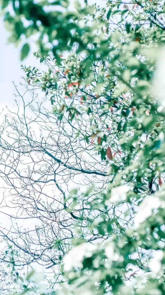 唯美壁纸:蓝天,山川,素雅干净,随便一张都很美