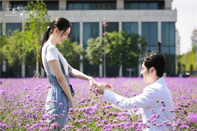 《举案姹紫齐眉嫣红》热拍 花海求婚剧照曝光