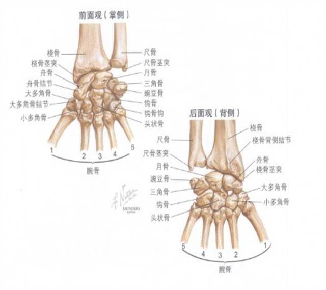 定义:桡骨远端关节面以上2～3cm内的骨折