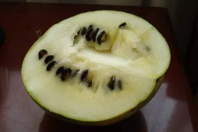 靖远籽瓜,源自甘肃靖远高湾旱沙地,是甘肃著名的特产.