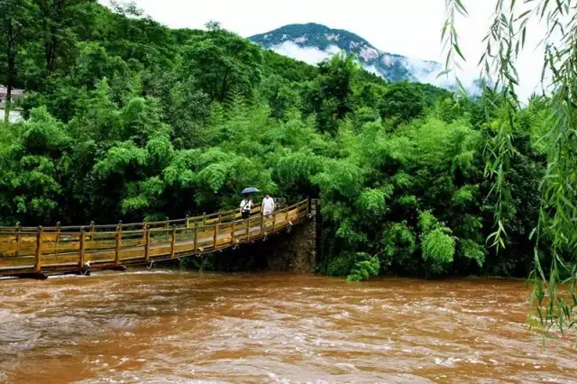 洛寧縣的神靈寨景區山水為魂,竹林為神,數萬畝竹林常年鬱鬱蔥蔥,青翠