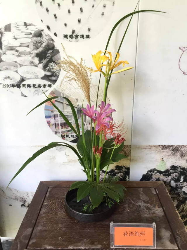 怒放的生命 ——以石蒜为主题的插花艺术鉴赏