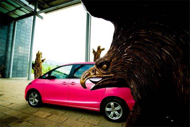 旧貌换新颜 比亚迪m6电光金属粉改色贴膜大片赏析