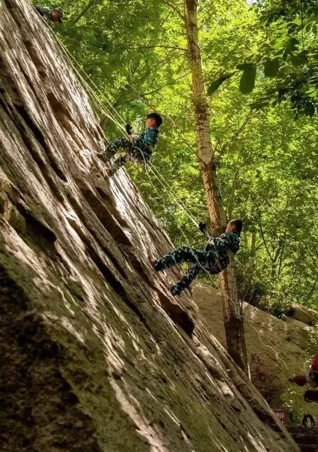 【十一假期|野外生存】猛虎入山林之"荒野求生"经典野营活动报名进行