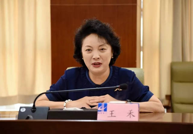 中国对外承包工程商会副会长王禾到集团调研指导工作