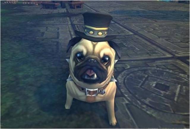 丑萌丑萌的!推荐几款《魔兽世界》好看又好用的对战宠物