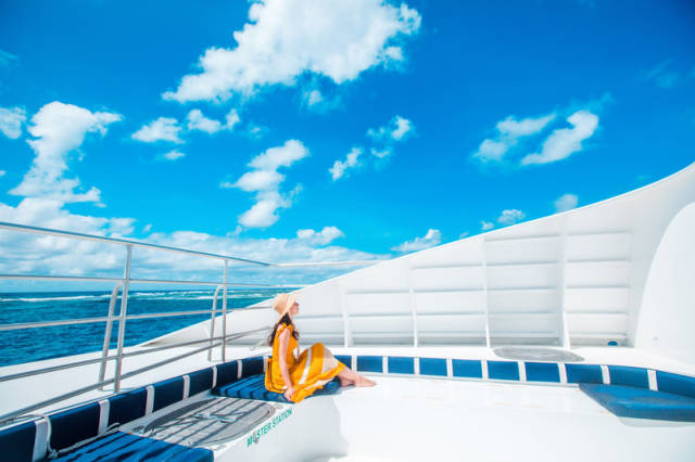 八月,我在上天入海的凯恩斯