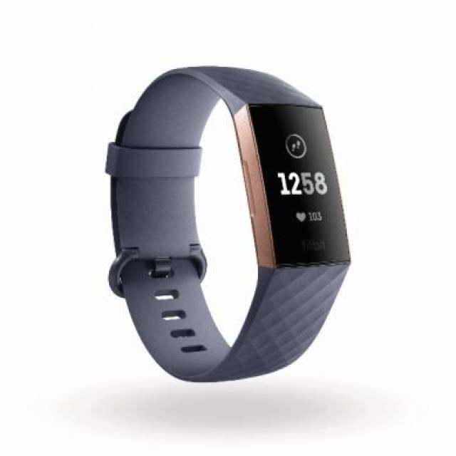 Fitbit 海外 discount 時刻