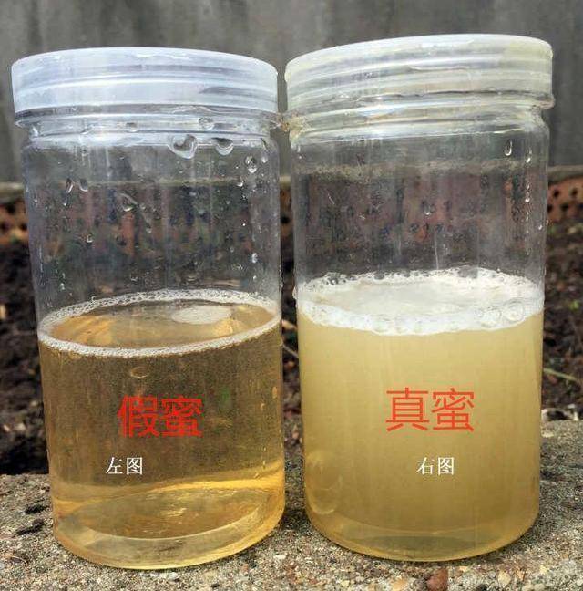 真假蜂蜜辨别方法