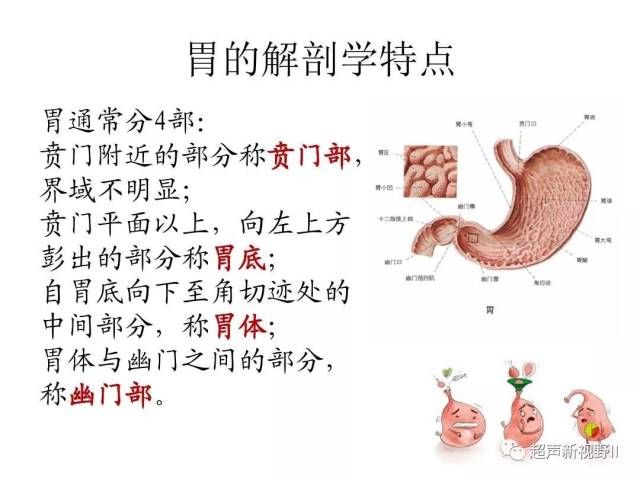 如何做好床旁超声胃容量检测?这里有详细教程