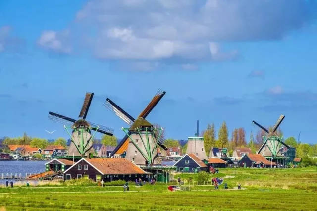 旅行点播台荷兰的一座美丽童话乡村莫奈油画里的醉美风车与木屋