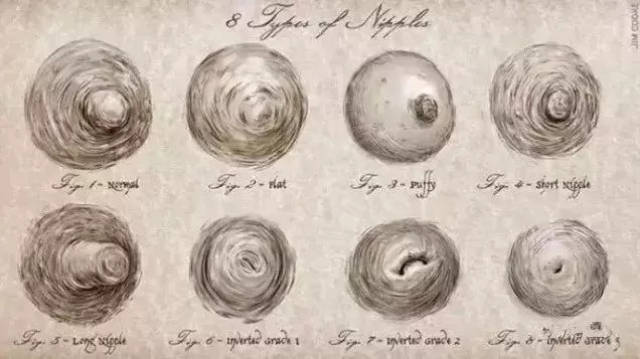 凭胸而论这10个咪咪冷知识很多东莞女表示不知道