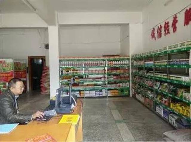 保义镇农资行业的最新动态