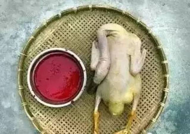 【姿势】南雄人七月十五中元节为什么要吃鸭子?