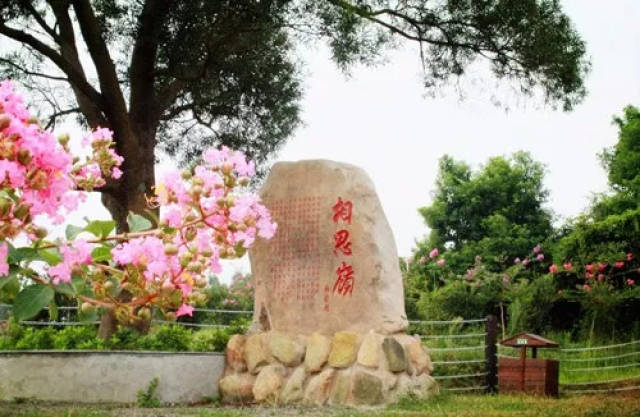 福州趣味运动会：团队协作与欢笑齐飞的盛夏时刻