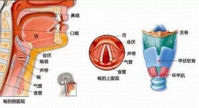 首大宋翠平 小小咽喉痛竟令患者在鬼门关前走一遭