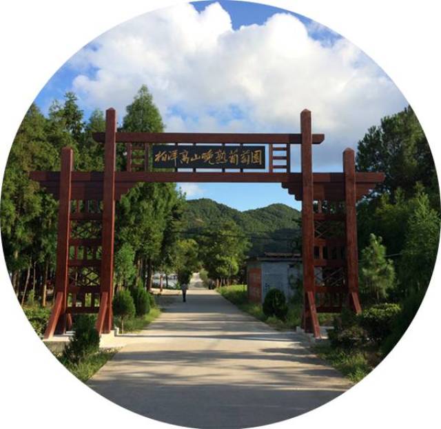 2018霞浦柏洋葡萄采摘节即将开幕!
