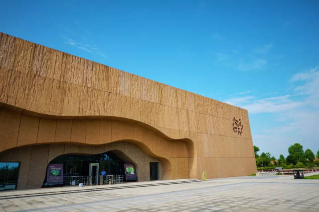 【遗址介绍】城头山遗址