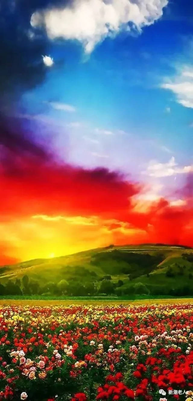 真有天堂的照片,见一次值了