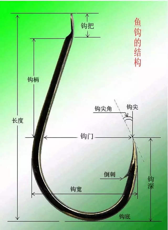 鱼钩的种类和不同鱼种垂钓的选钩技巧_手机搜狐网